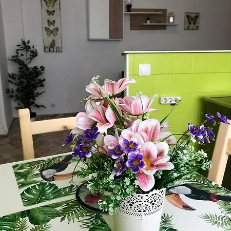 Appartamento Apartamento El Sonador