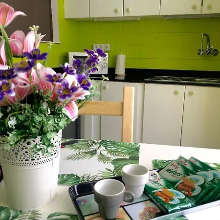 Appartamento Apartamento El Sonador *